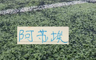 也是好事！大连斯坦丘 武汉的卡迪斯 申花阿苏埃重返国家队